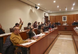 Los concejales de Podemos votaron en consonancia con el gobierno en el Pleno de Avilés.