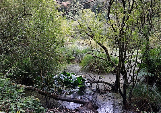 Lagunas de Salave, en Tapia.