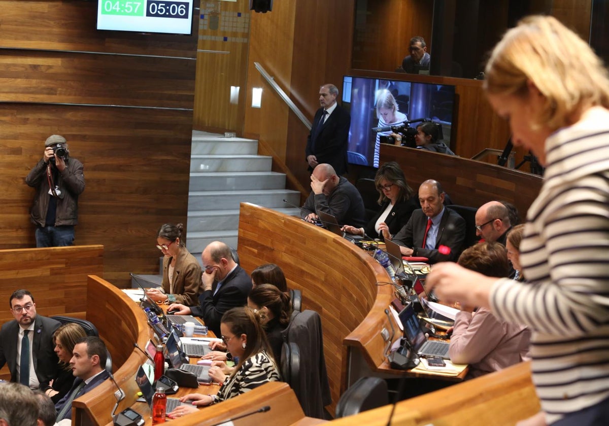 Covadonga Tomé, en la Junta, durante las preguntas al presidente.