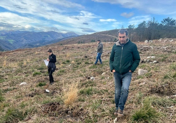 Tineo iniciará ahora la repoblación de cinco montes que ardieron hace dos años