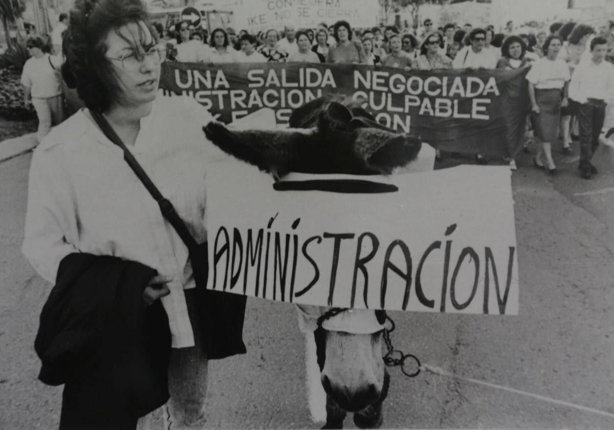 Imagen de Galeria 