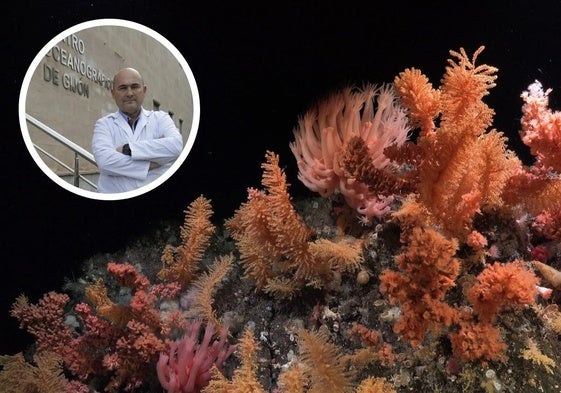 Algunos de los ecosistemas marinos profundos estudiados a bordo del Buque Oceanográfico Falkor (too).