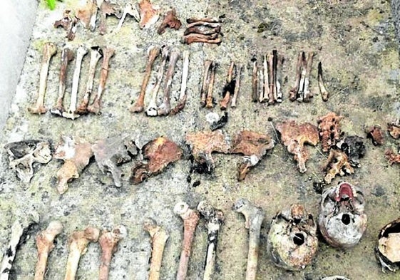 Restos recogidos en el panteón de la familia Barredo.