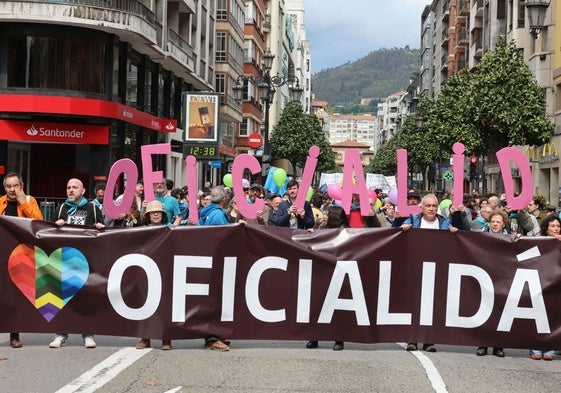 Manifestación a favor de la oficialidad en mayo pasado.