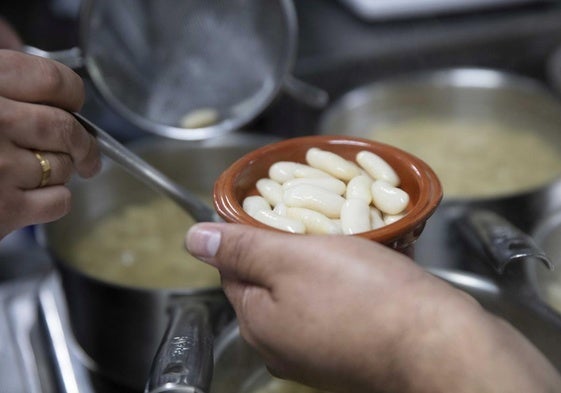 Qué es y cómo se combate la antracnosis, enfermedad que pone en jaque a la faba asturiana