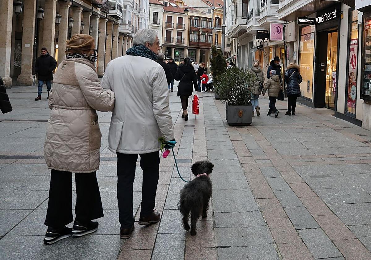Una pareja pasea con su perro por las calles de Palencia.