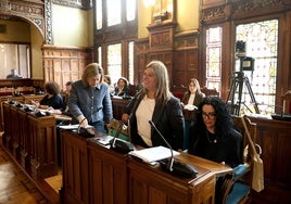 Varios consejeros, en la comisión parlamentaria sobre la oficialidad.