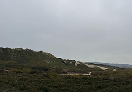 Las pasarelas ya forman parte del paisaje dunar del Espartal, en Salinas.