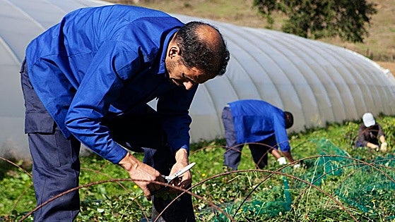EDP Energía Solidaria: 10 años de compromiso social