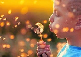 Ascensores Tresa presenta su nuevo Brisa Eléctrico Gearless