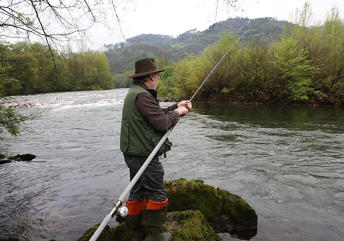 El campanu de Asturias se resiste en su primera jornada | El Comercio:  Diario de Asturias