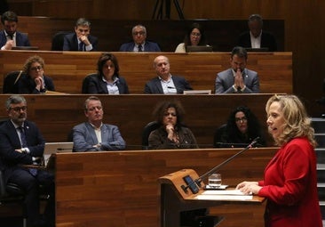 Belarmina Díaz: «Si se extraía carbón en Cerredo, la responsabilidad es de la empresa y del director facultativo de la mina»