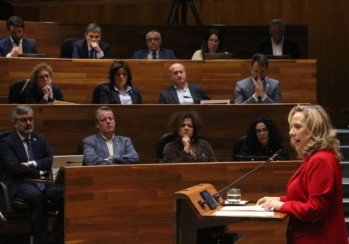 Belarmina Díaz: «Si se extraía carbón en Cerredo, la responsabilidad es de la empresa y del director facultativo de la mina»