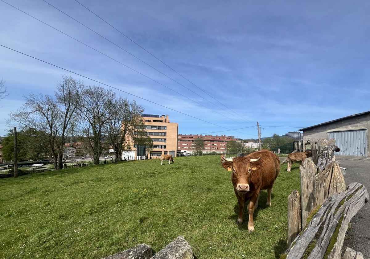 Zona de La Ferlera, en Pola de Siero, donde se prevé un desarrollo urbanístico.