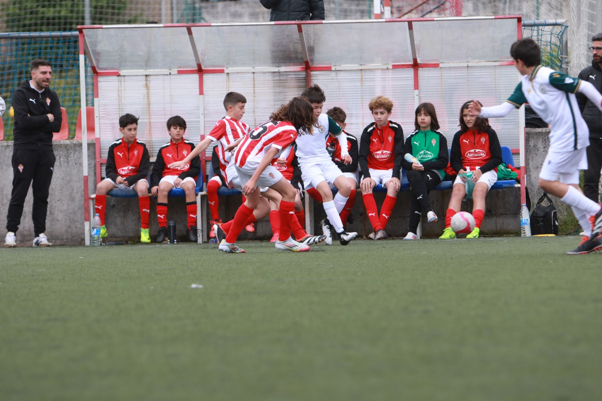 Las mejores imágenes de la Oviedo Cup 2025
