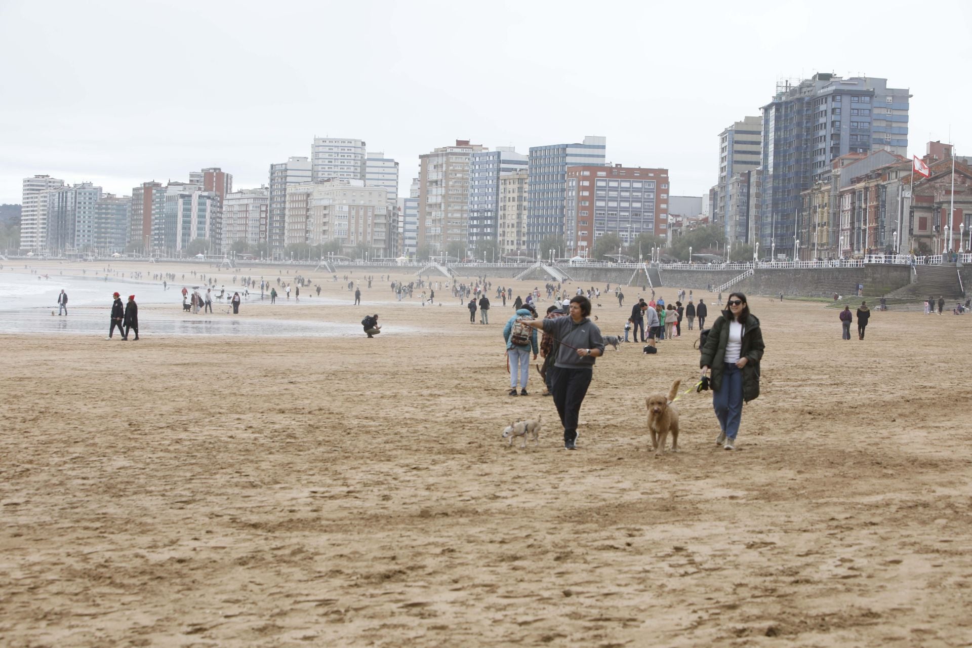Gijón 