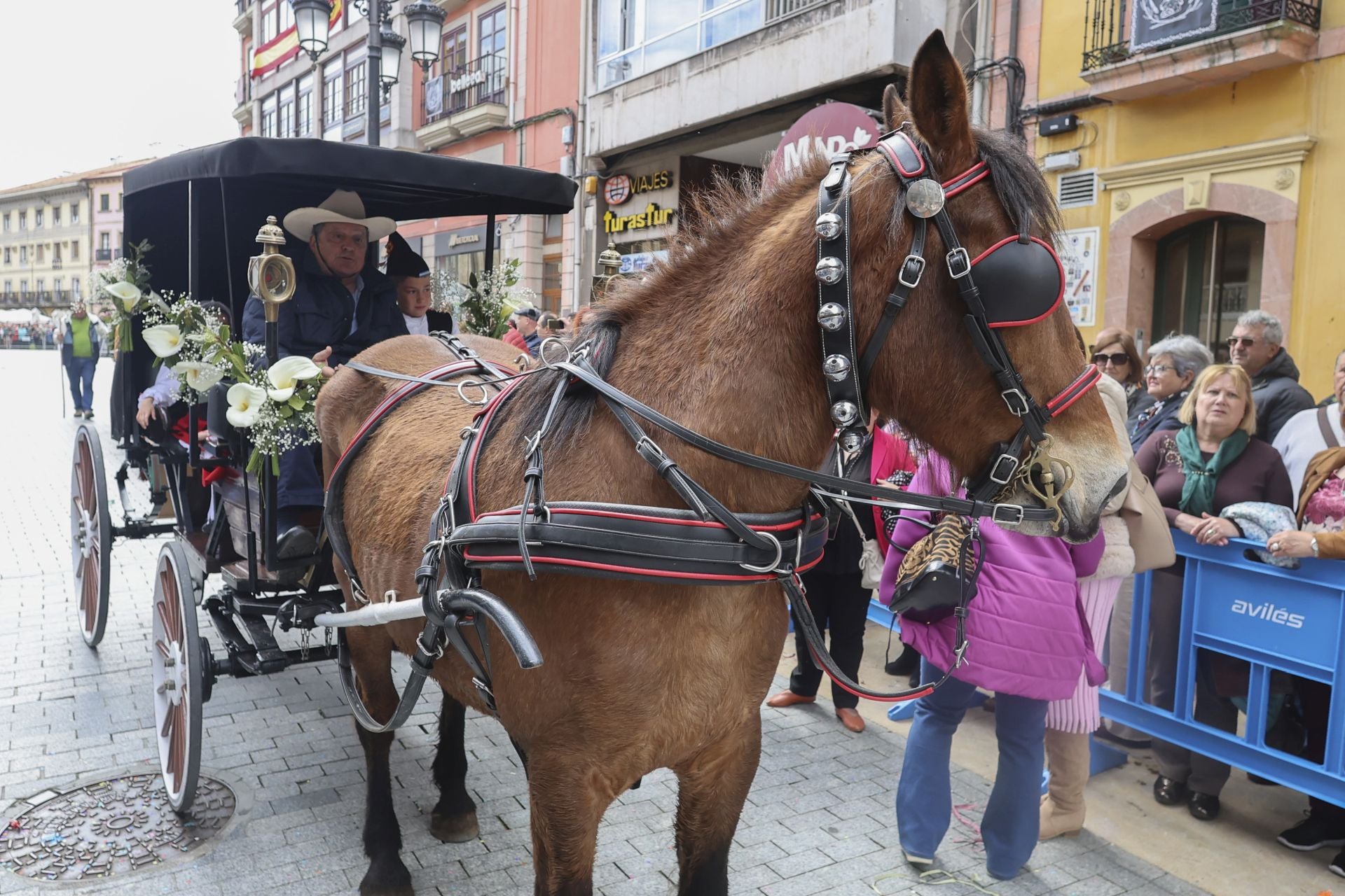Todas las fotos del desfile de carrozas de las fiestas de El Bollo de Avilés 2025