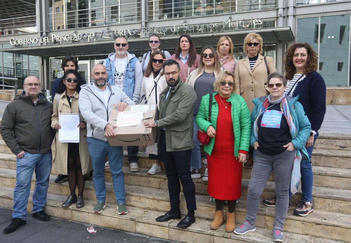 Informes médicos y 15.857 firmas avalan que el nuevo colegio de Montecerrao necesita una piscina