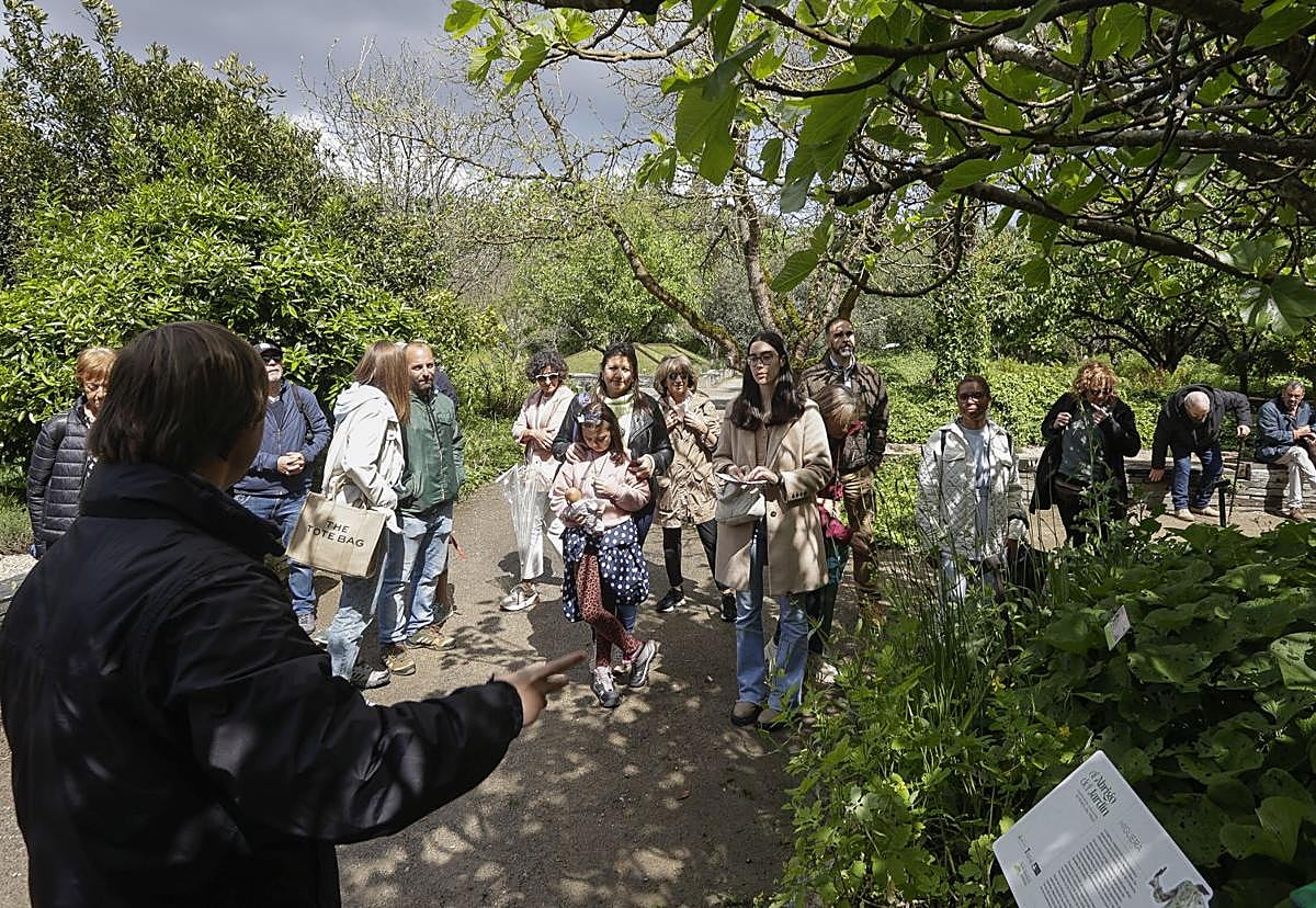 Un momento de la visita a la exposición 'Al abrigo del Jardín' en el Botánico de Gijón.