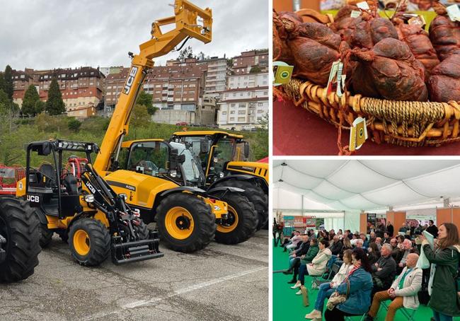 Diversos momentos de la Feria de Muestras de Tineo en una edición anterior.