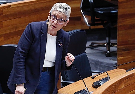 Concepción Saavedra, consejera de Salud.