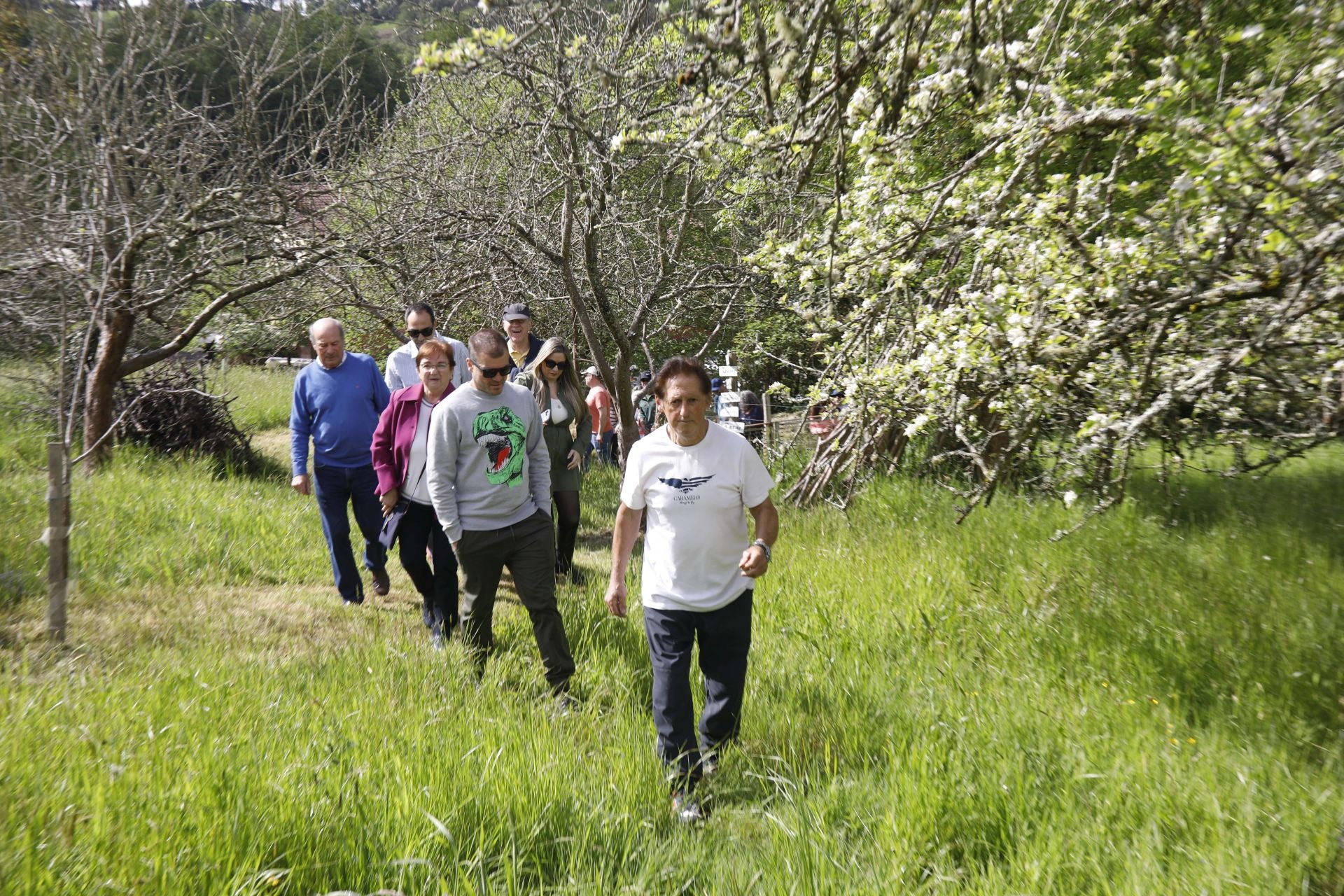 Visita guiada para conocer de cerca la floración de los manzanos en Sariego