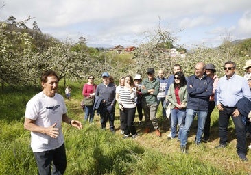 La floración del manzano gana turistas en Sariego