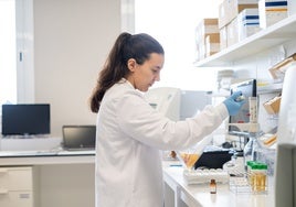 Ensayos de desafío para alejar el riesgo de listeriosis