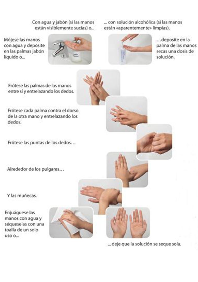 Imagen - Guía del Ministerio de Sanidad para un correcto lavado de manos.