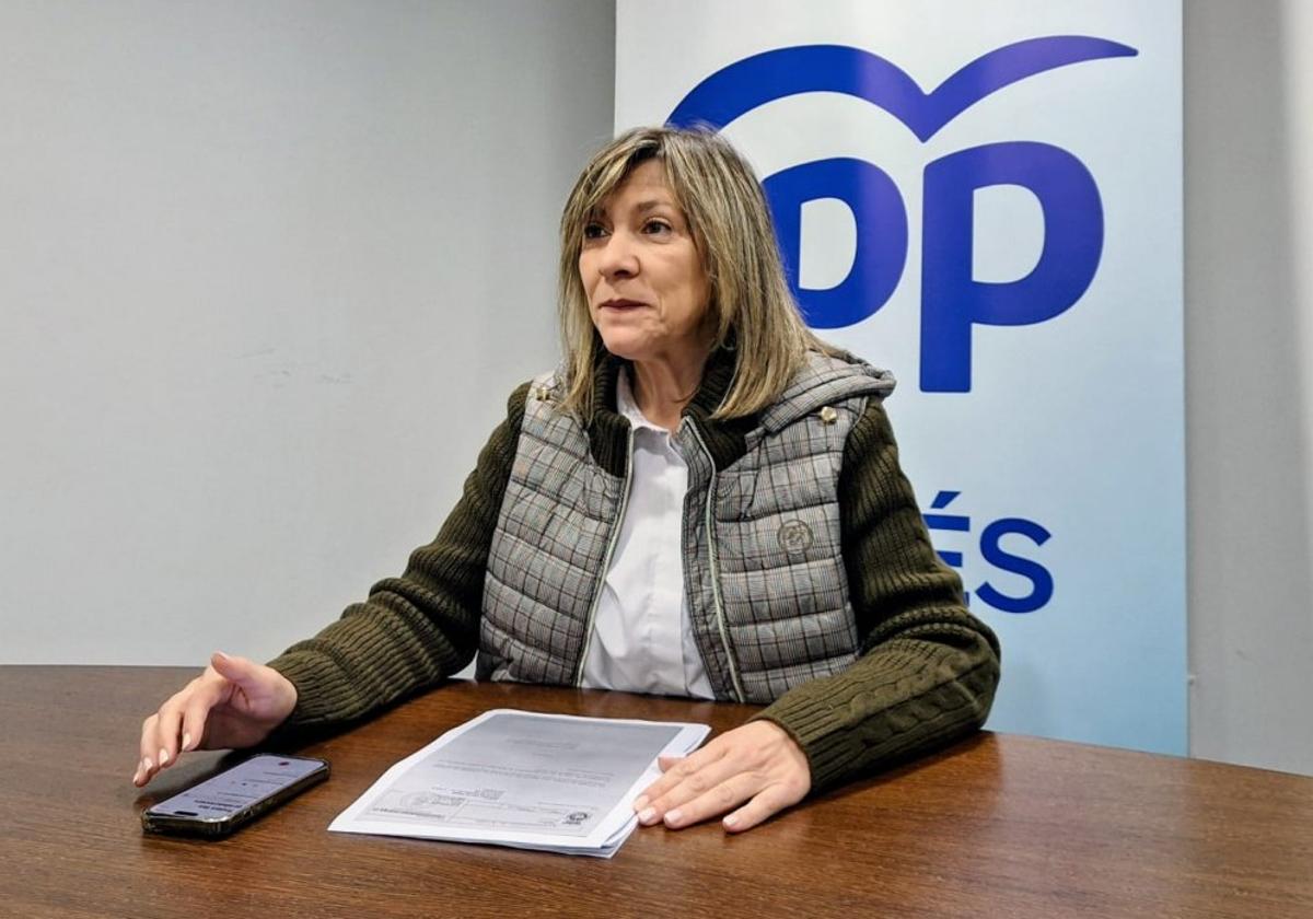 Esther Llamazares: «Algunos fondos europeos podrían estar en peligro por uso indebido»