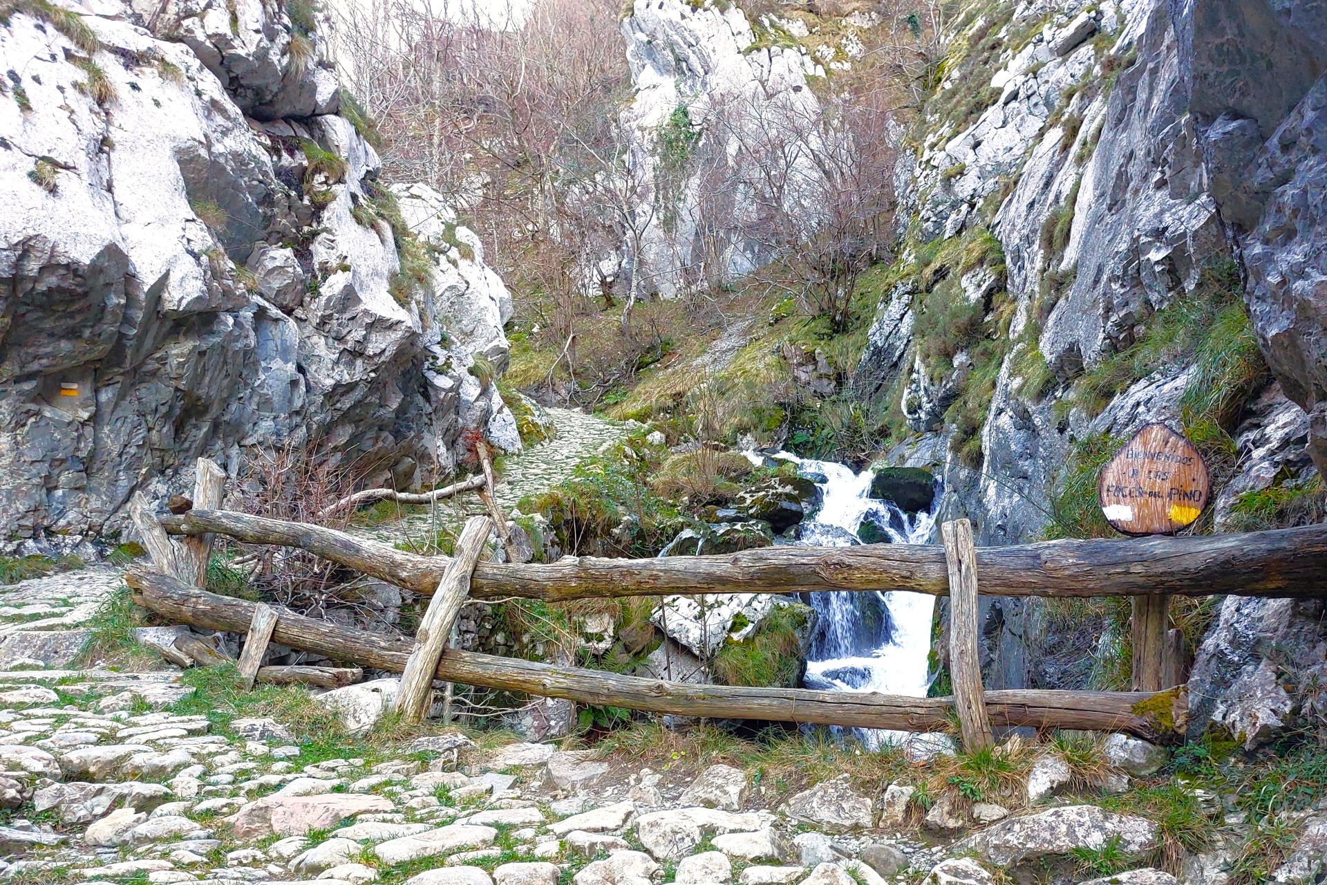 Imagen secundaria 1 - La ruta de 2 días al Alto Aller lo tiene todo: bosques, crestas, senderos montunos, paisaje, foces, brañas, puertos... 38 kilómetros de trekking para disfrutar de una zona muy desconocida de Asturias.