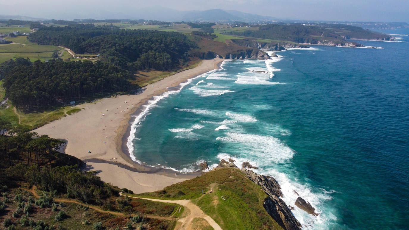 Navia 