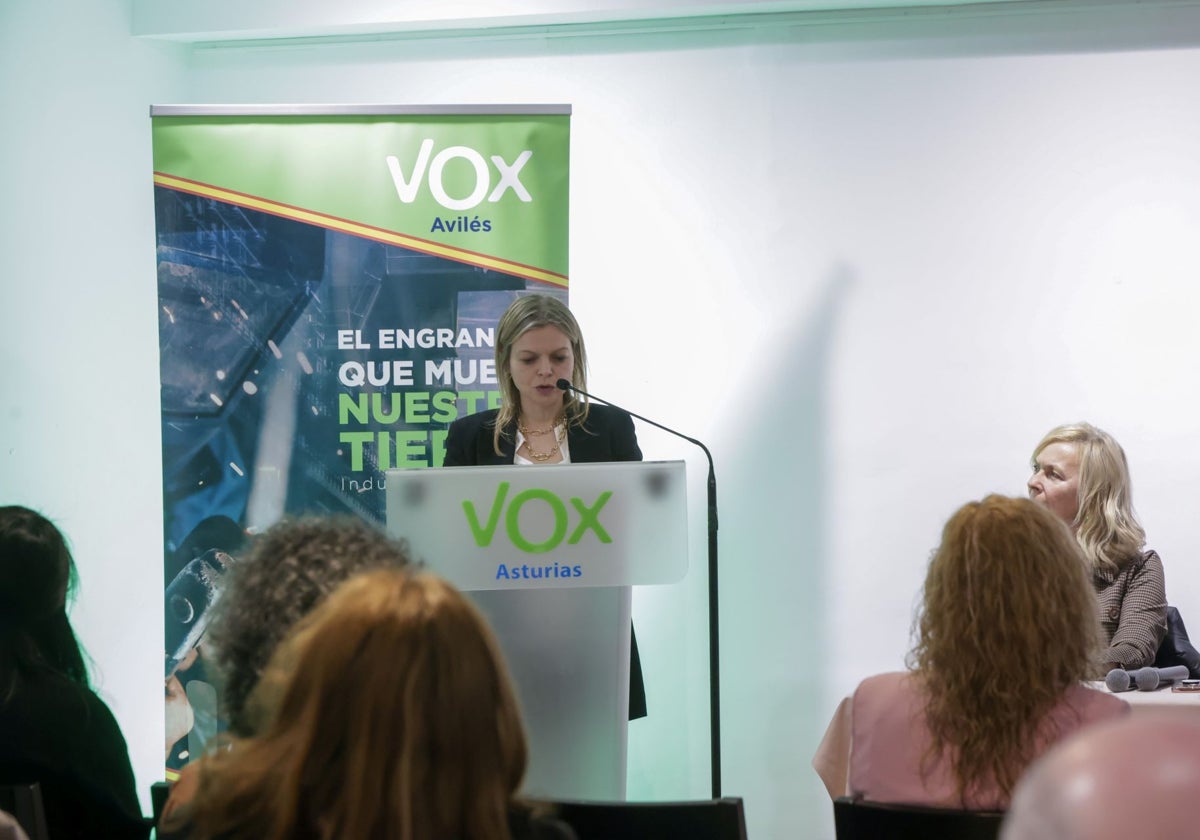 Vox Avilés aboga por la liberación de suelo como solución al problema de la vivienda