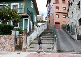 Las escaleras de Vital Aza con Ricardo Fransinelli.