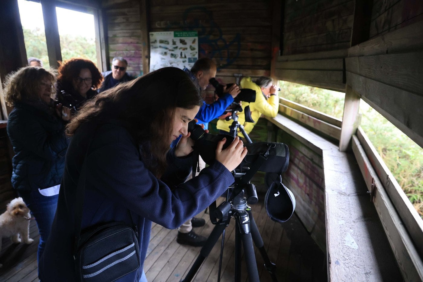 Casi un centenar de aves migratorias de once especies se dejan ver en Zeluán, en Avilés