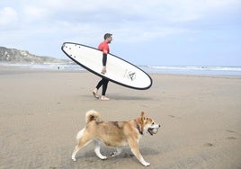 Un perro juega con una pelota en la playa de Salinas.