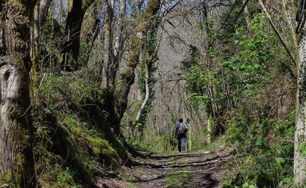 Núcleos rurales, tramos de bosque junto a la corriente de ríos y enormes paisajes: todo esto reúnen las dos primeras etapas del Camino Interior de la Cordillera Cantábrica.