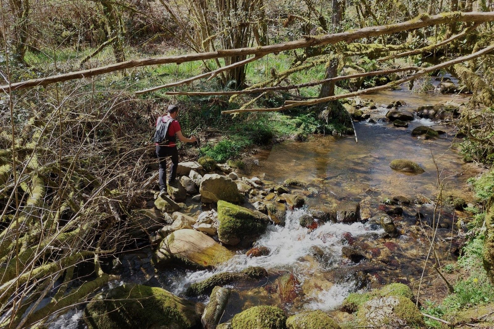 En este tramo se cruza el río en varias ocasiones: algunas por puentes y pasarelas pero otras encontrando el camino saltando de piedra en piedra
