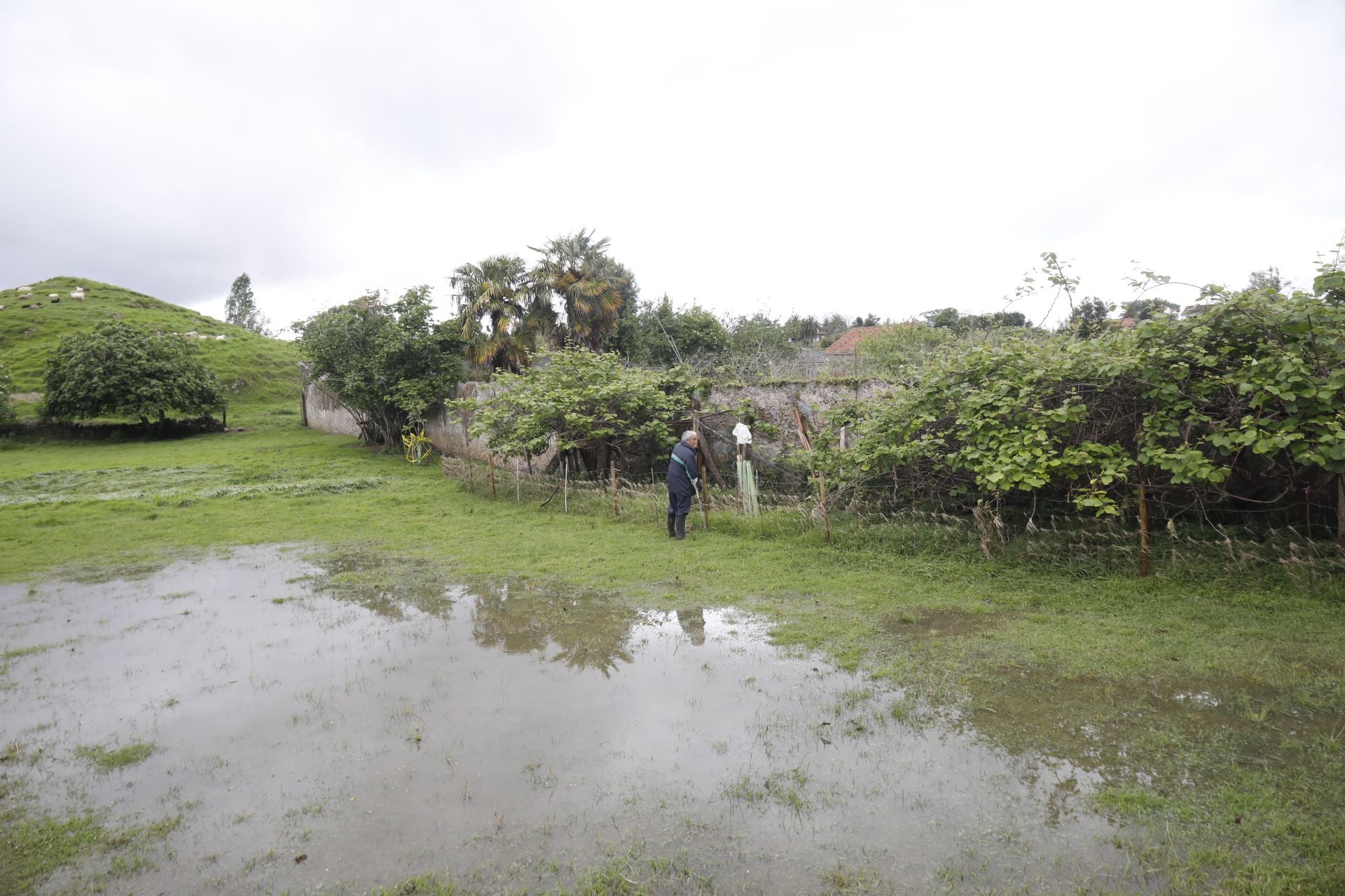 Los estragos de la intensa lluvia caída en Asturias