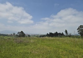 Vista de los terrenos ubicados en el concejo de Siero, en la zona de La Belga, en la que el Real Oviedo tiene previsto construir su nueva ciudad deportiva.
