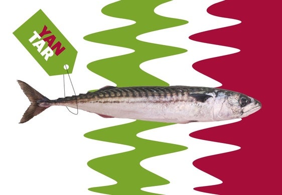 El pescado cambia en entretiempo