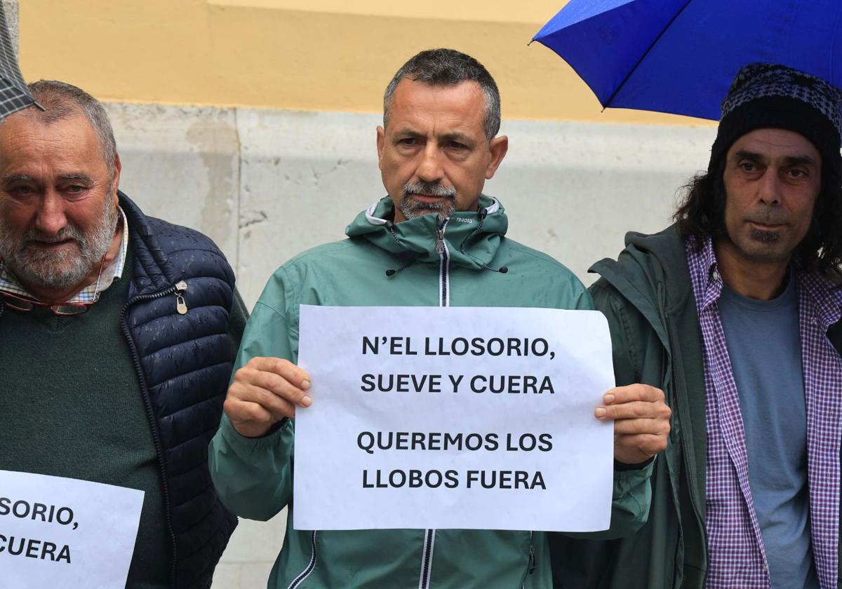 Imagen de Galeria 