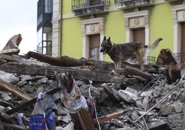 Simulacro de búsqueda de personas entre escombros en el edificio de la plaza de Europa, en Gijón