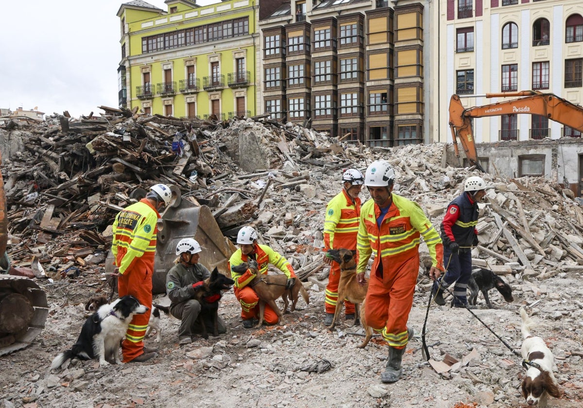 Los perros y los guías de la Unidad de Rescate del Principado durante los ejercicios de búsqueda entre los escombros del edificio de la plaza de Europa.