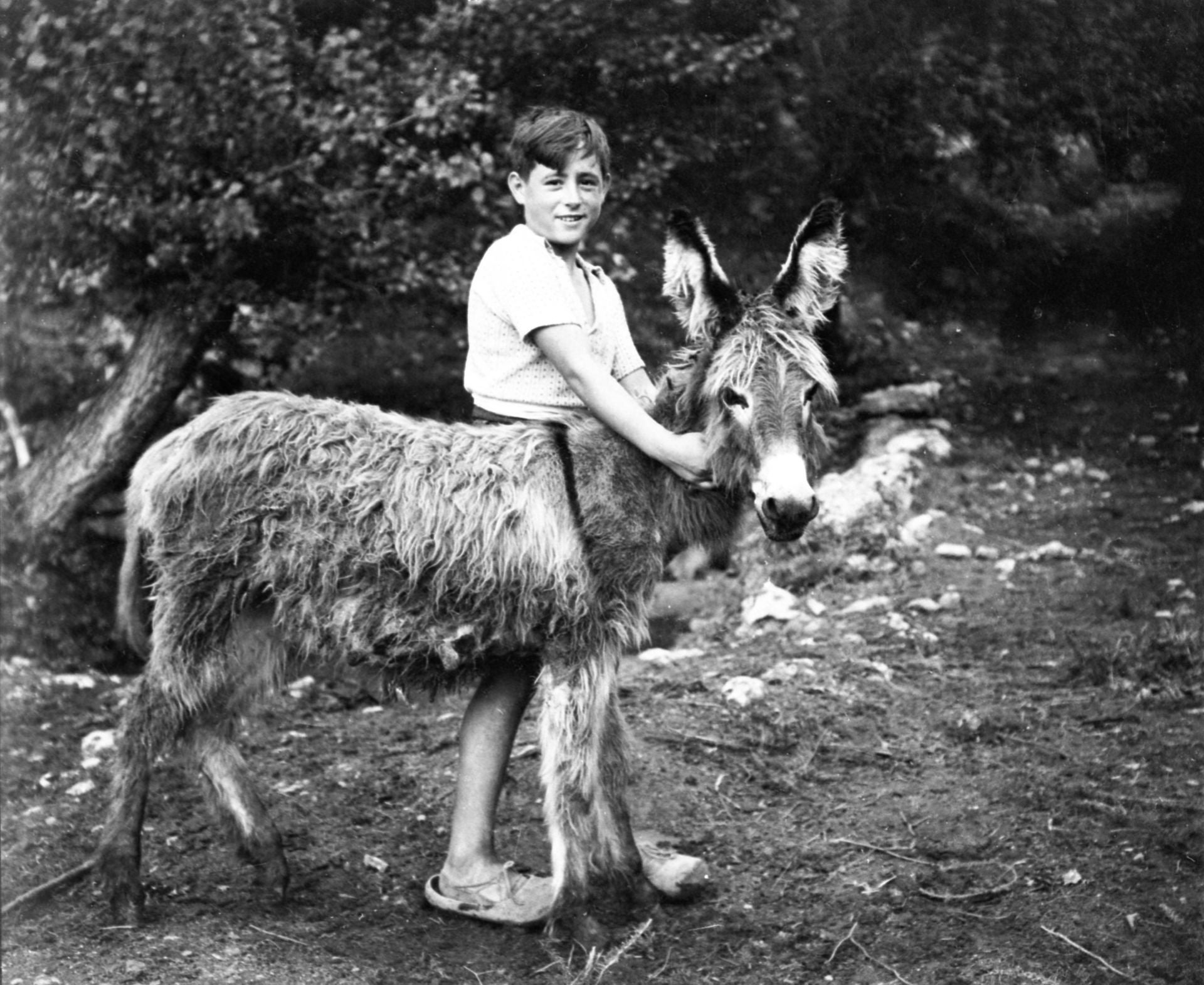 Más historia de Asturias rescatada: las fotografías de Foto Ángel que viajan al siglo pasado