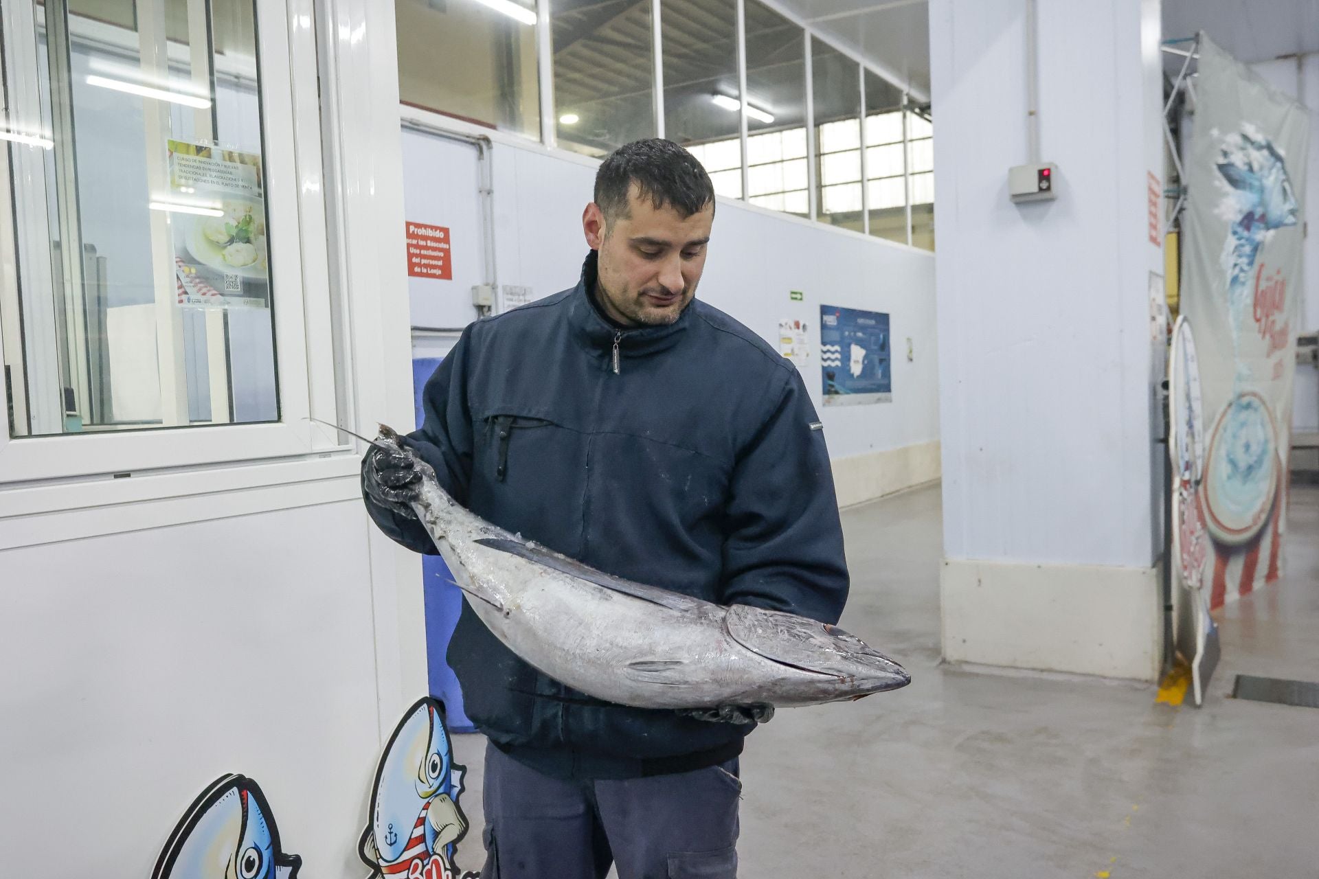 El primer bonito de Gijón, a 53,80 euros el kilo