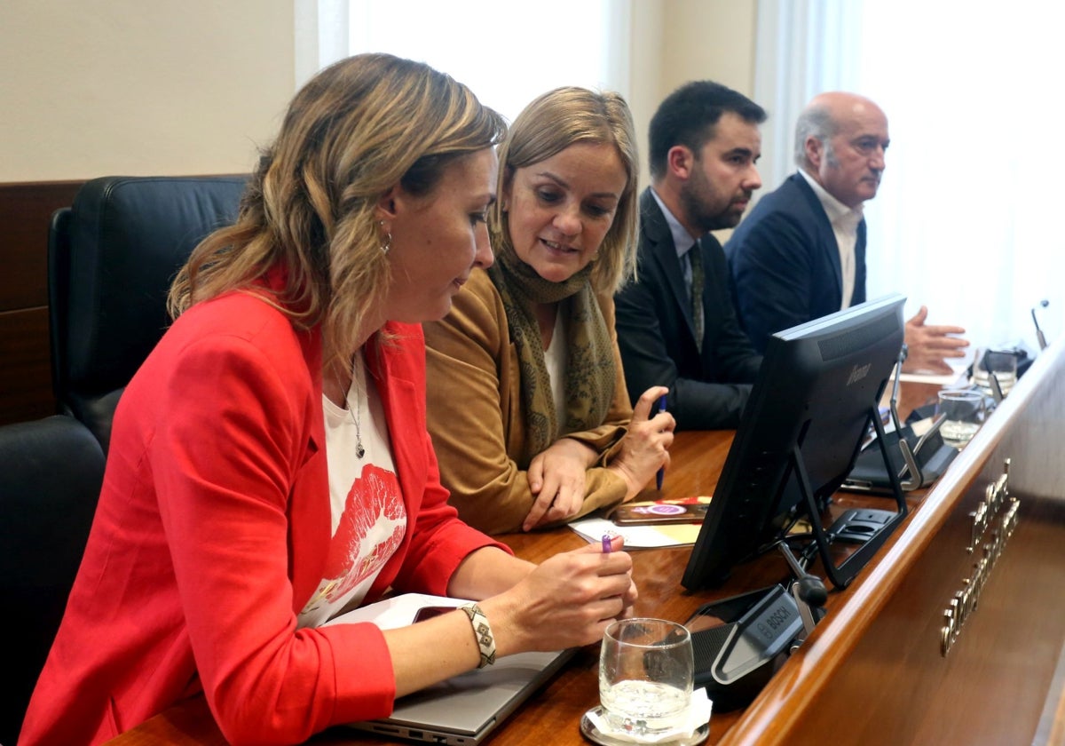 La comisión de investigación de Cerredo se fija como meta tener conclusiones antes de junio de 2026