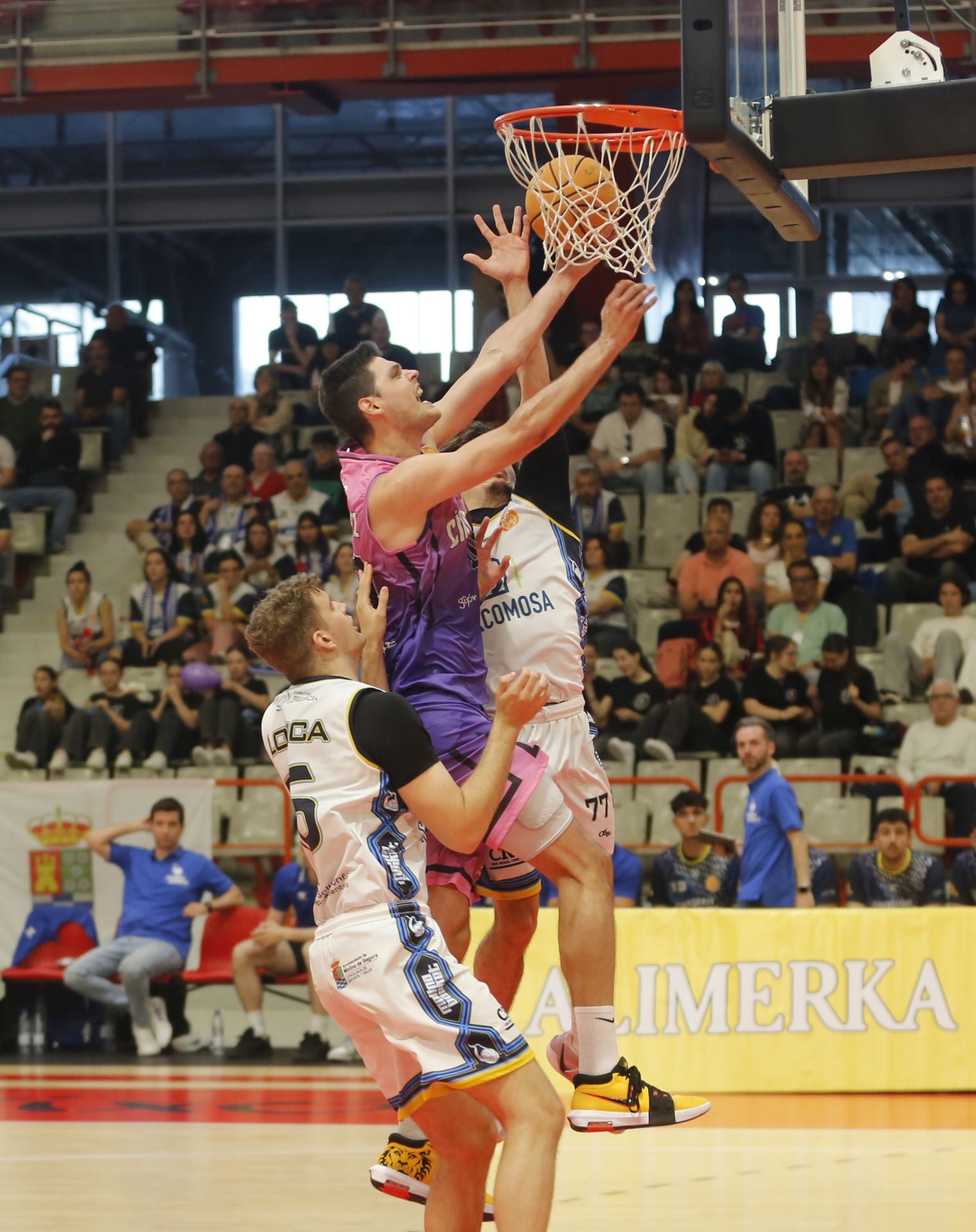 Las mejores imágenes del Círculo Gijón Noega Baloncesto - Sercomosa Molina Basket