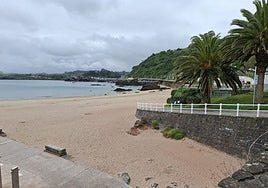 Playa de Palmera.