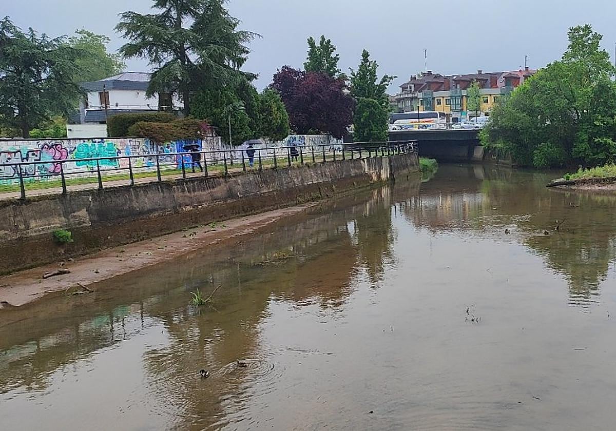 Estado actual de la zona de confluencia del Piles y el Peñafrancia a la altura de Las Mestas.